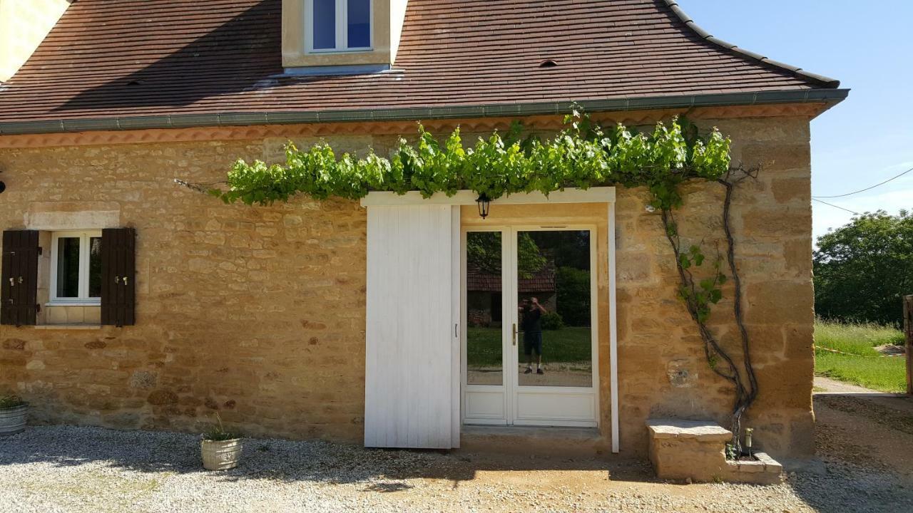 Villa Domaine De Manilau Le Buisson-de-Cadouin Exterior foto